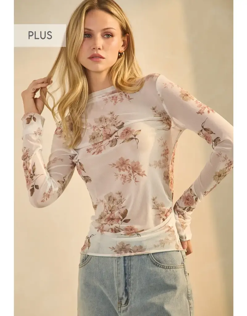 Curvy Sheer Mesh Long-Sleeve Top