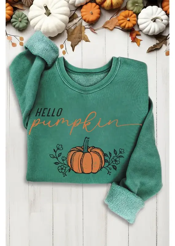 Hello Pumplin Mineral Graphic Sweatshirt