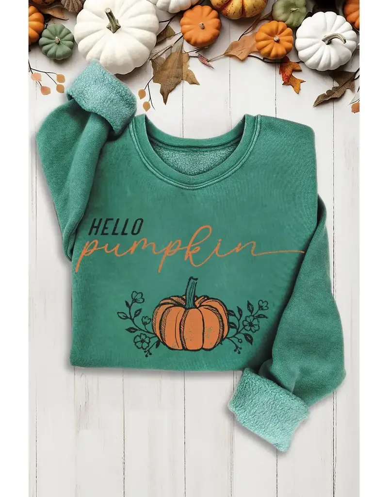 Hello Pumplin Mineral Graphic Sweatshirt