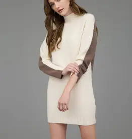 Colorblock Mock Neck Long Sleeve Sweater Dress