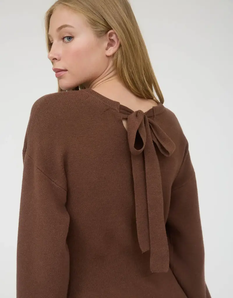 Long Sleeve Knit Sweater Mini Dress with Bow Tie Back