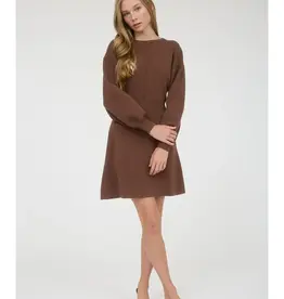 Long Sleeve Knit Sweater Mini Dress with Bow Tie Back
