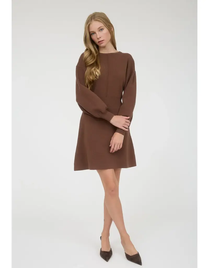 Long Sleeve Knit Sweater Mini Dress with Bow Tie Back