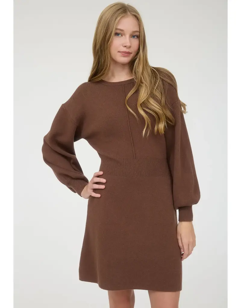 Long Sleeve Knit Sweater Mini Dress with Bow Tie Back