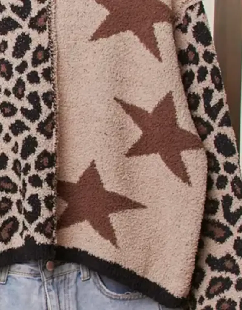 Star & Leopard Knit  Sweater