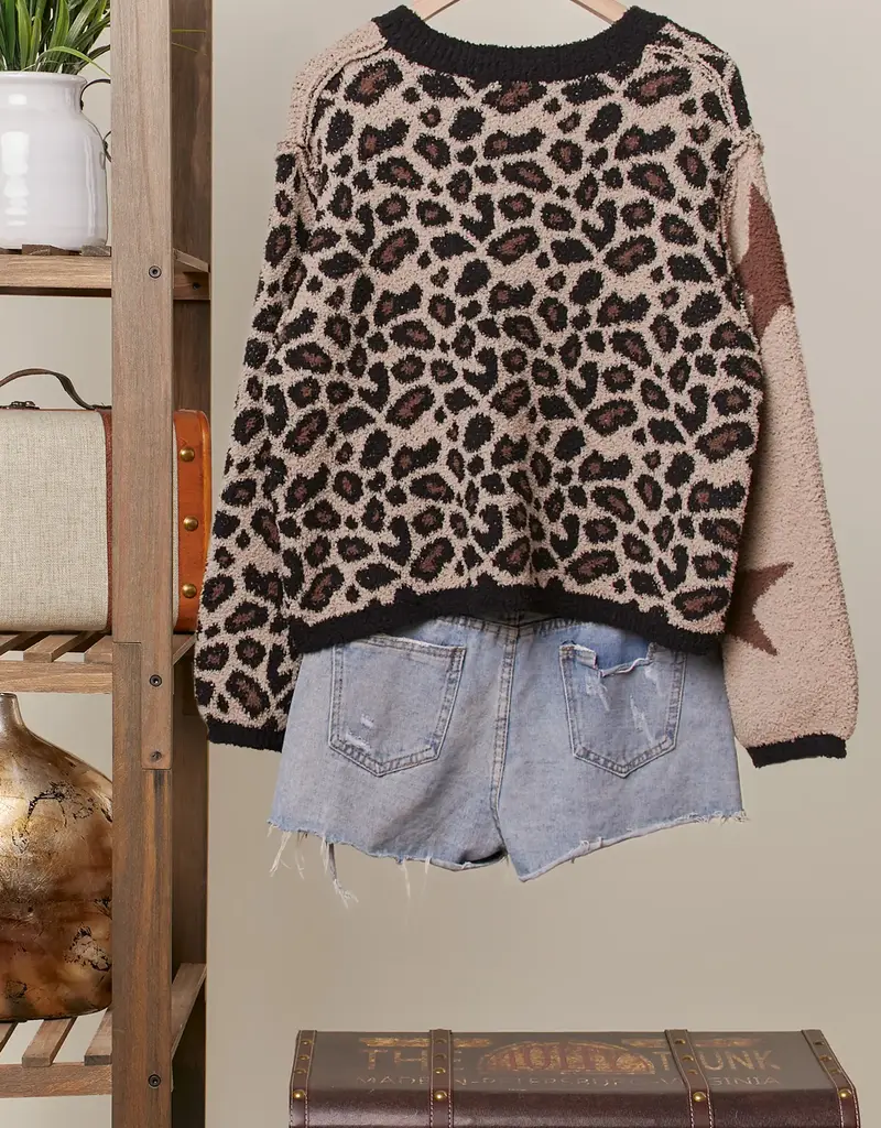 Star & Leopard Knit  Sweater