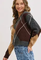 Argyle Knit Sweater