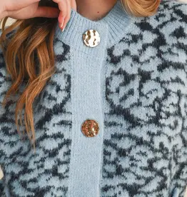 Leopard Knit Sweater Vest