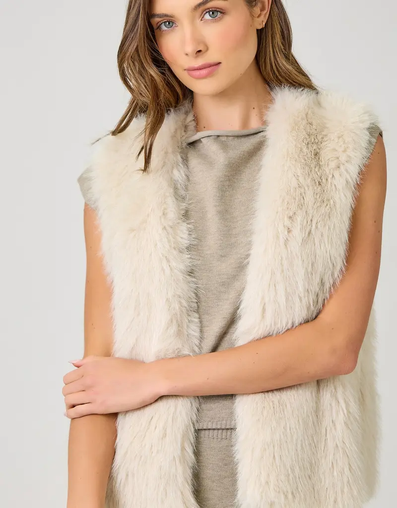 Faux Fur Sparkle Vest