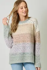 Color Blocked Pointelle Sweater
