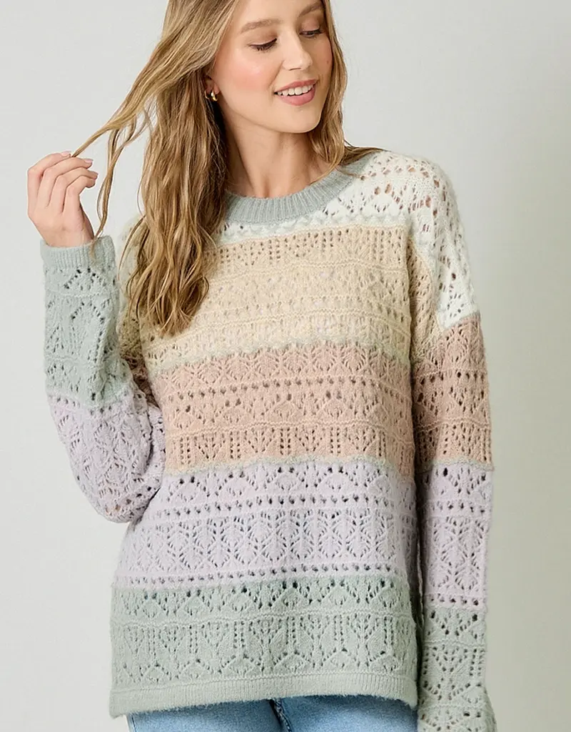 Color Blocked Pointelle Sweater