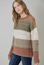 Color Blocked Pointelle Sweater