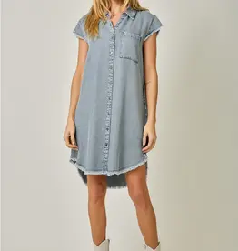 Flutter Sleeve Tencel Shirt Dress