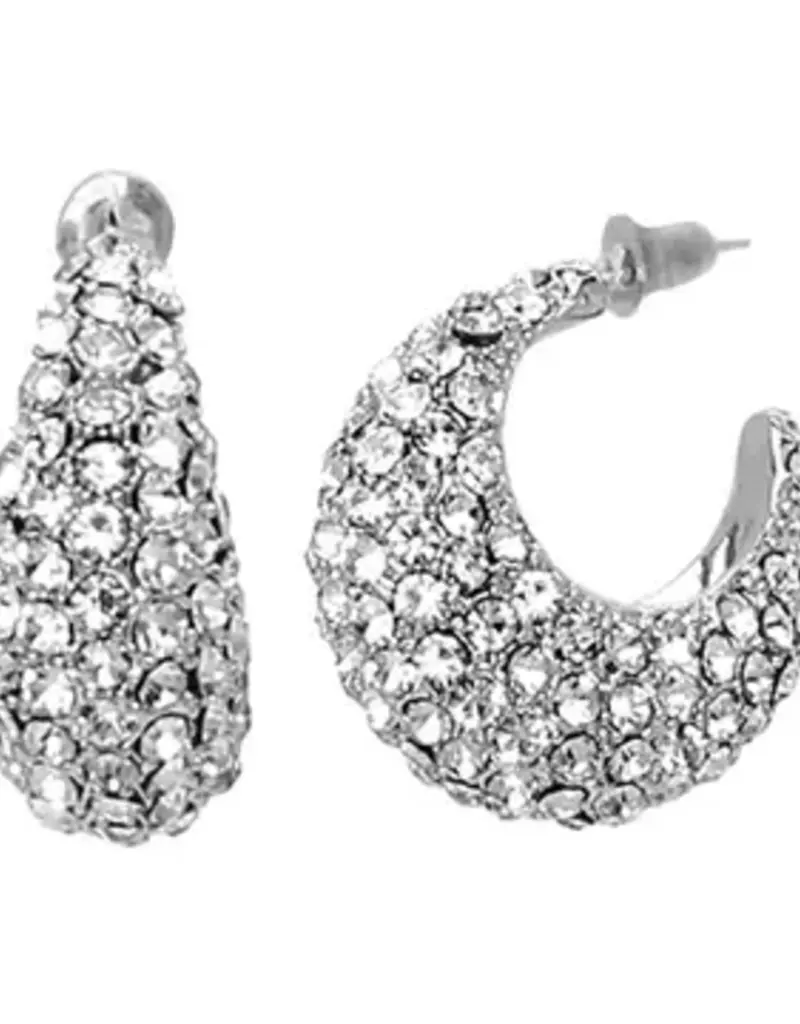 Crystal Teardrop Hoop Earrings