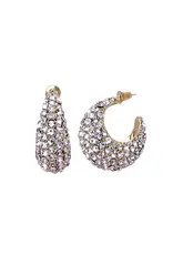 Crystal Teardrop Hoop Earrings