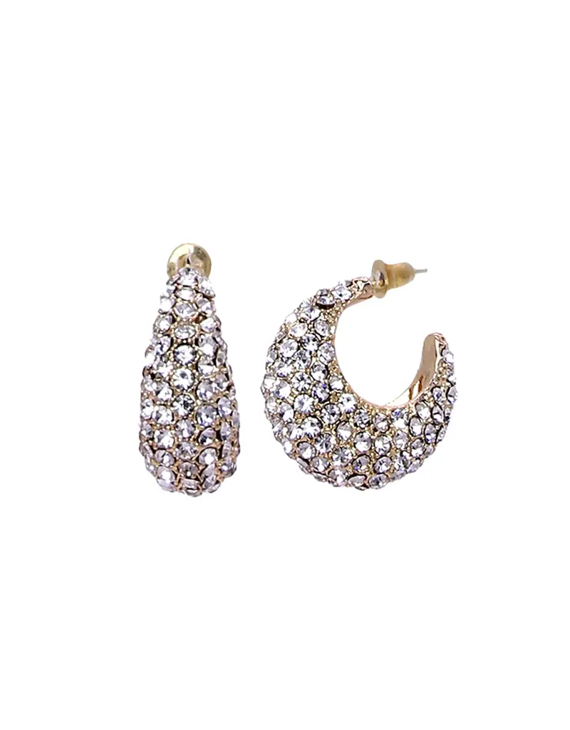 Crystal Teardrop Hoop Earrings