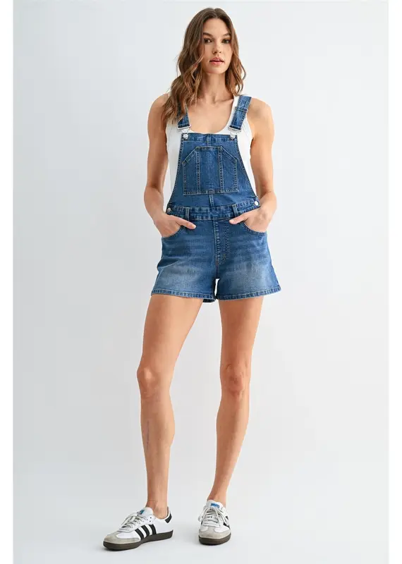 Bib Denim Overall Dress