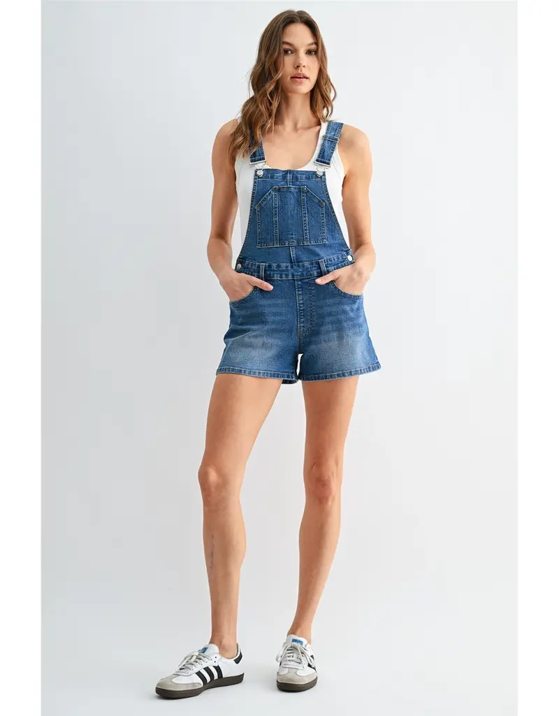 Bib Denim Overall Dress