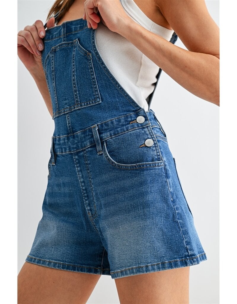 Bib Denim Overall Dress