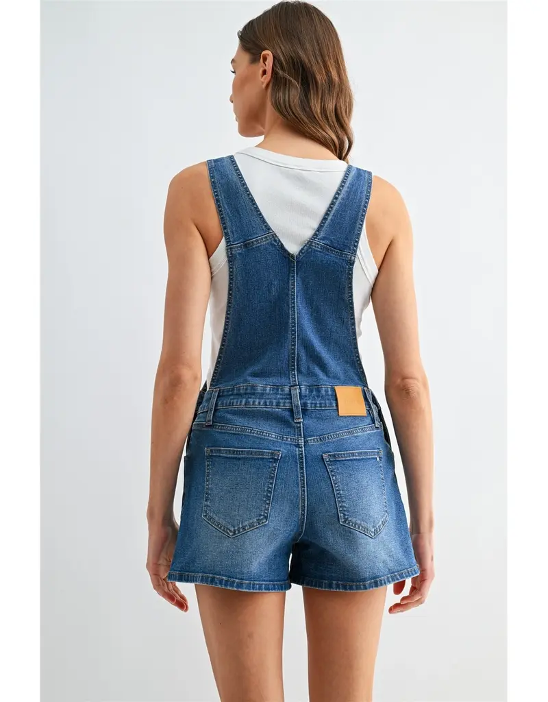 Bib Denim Overall Dress