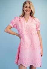 Amy Floral 3d Appliqué & Embroidered Dress