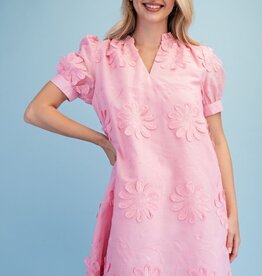 Amy Floral 3d Appliqué & Embroidered Dress