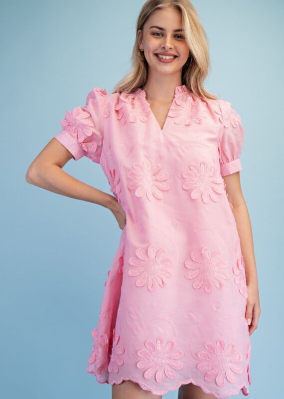 Amy Floral 3d Appliqué & Embroidered Dress