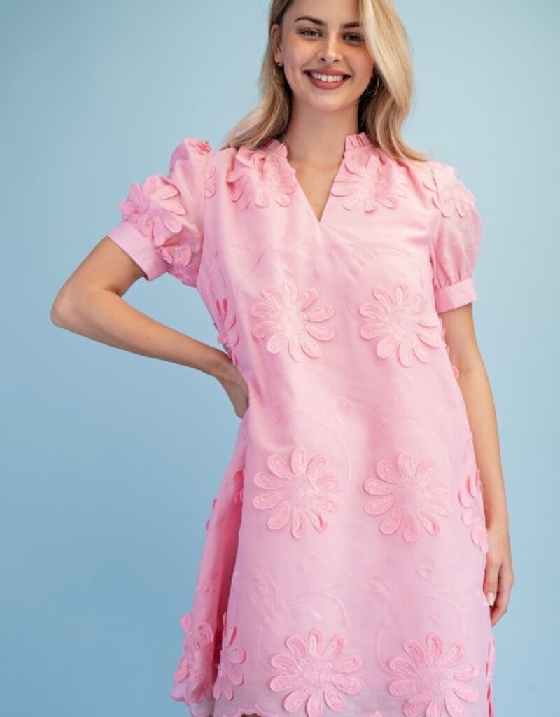 Amy Floral 3d Appliqué & Embroidered Dress