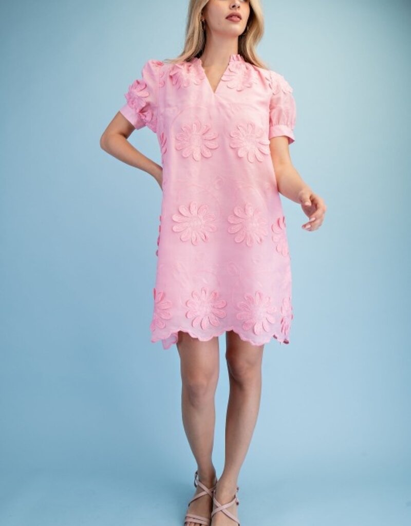 Amy Floral 3d Appliqué & Embroidered Dress