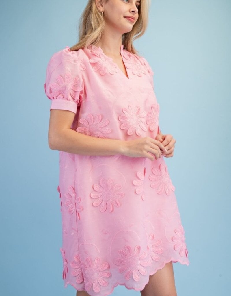 Amy Floral 3d Appliqué & Embroidered Dress