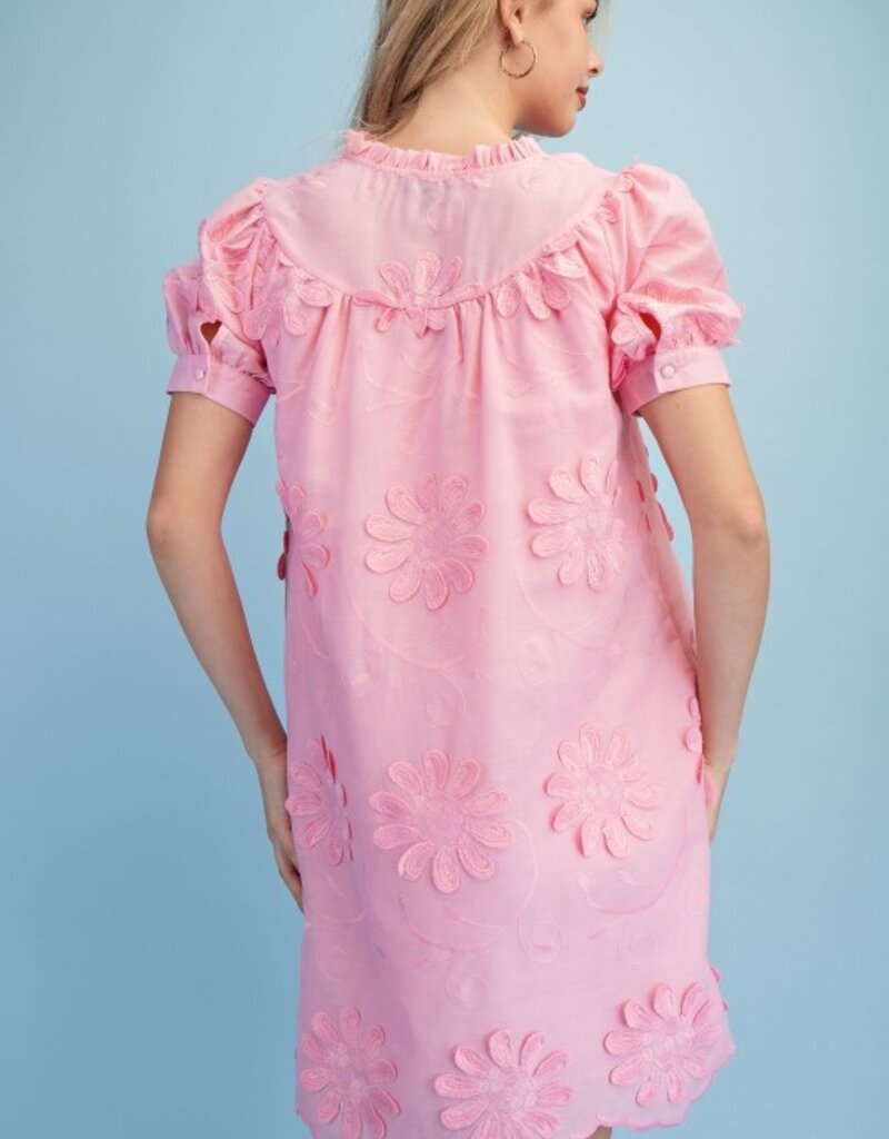 Amy Floral 3d Appliqué & Embroidered Dress