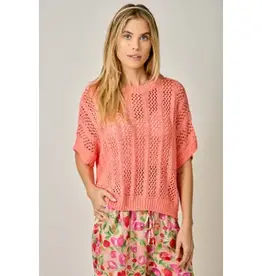 Dottie Crochet Short Sleeve Dolman Knit Top