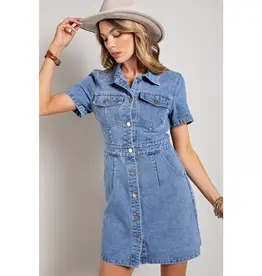 Caroline Denim Dress