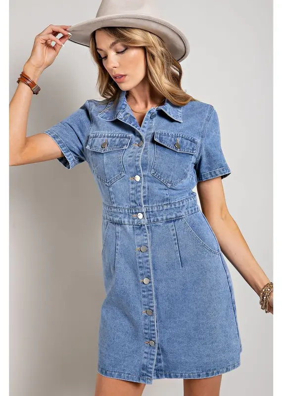 Caroline Denim Dress