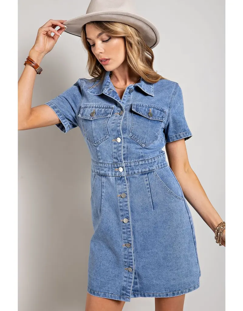 Caroline Denim Dress