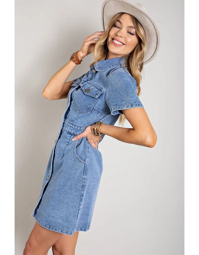 Caroline Denim Dress