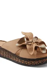 SPRING STEP HILARY-GLAM SANDALS