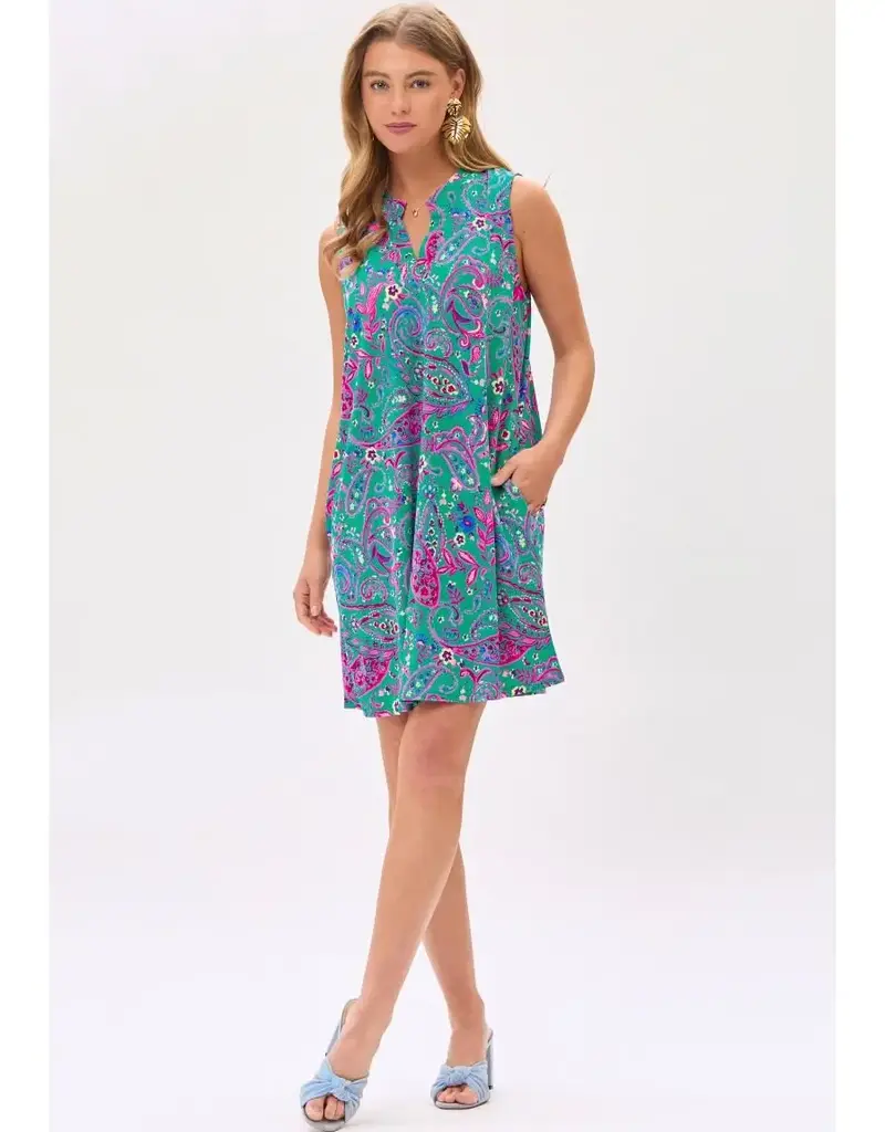 Patty Paisley Dress