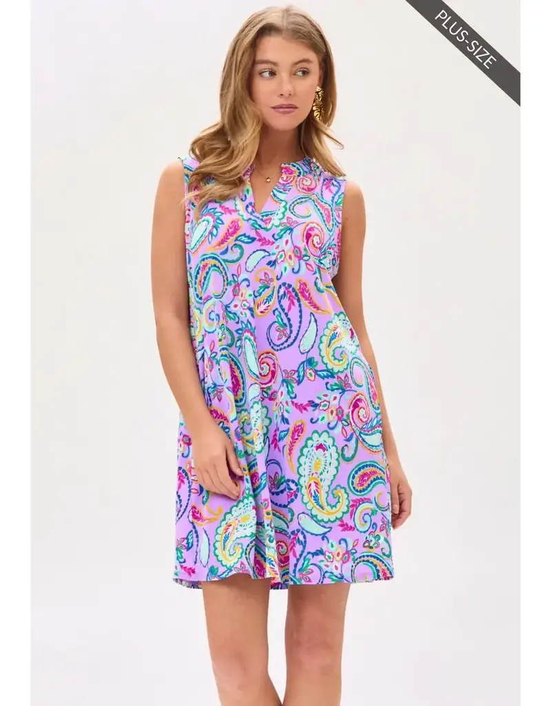 Polly Paisly Sleeveless Dress