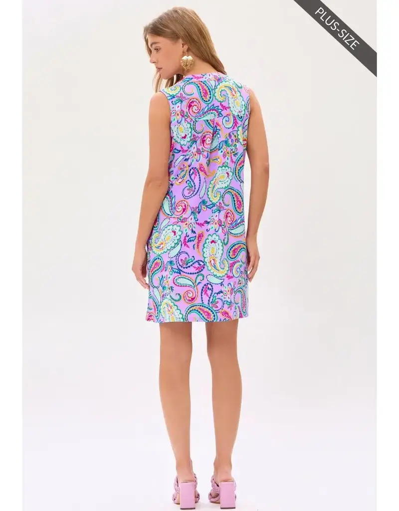 Polly Paisly Sleeveless Dress