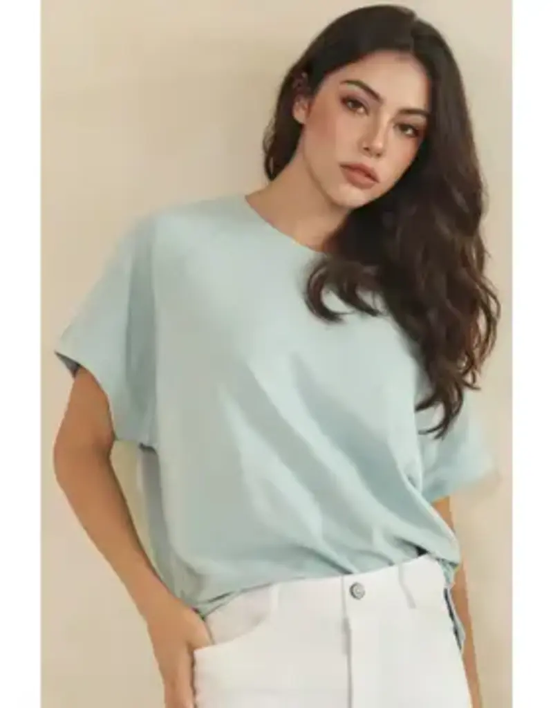 Relaxed Crew Neck Raglan Short Sleeve Top - Rose & Light Blue