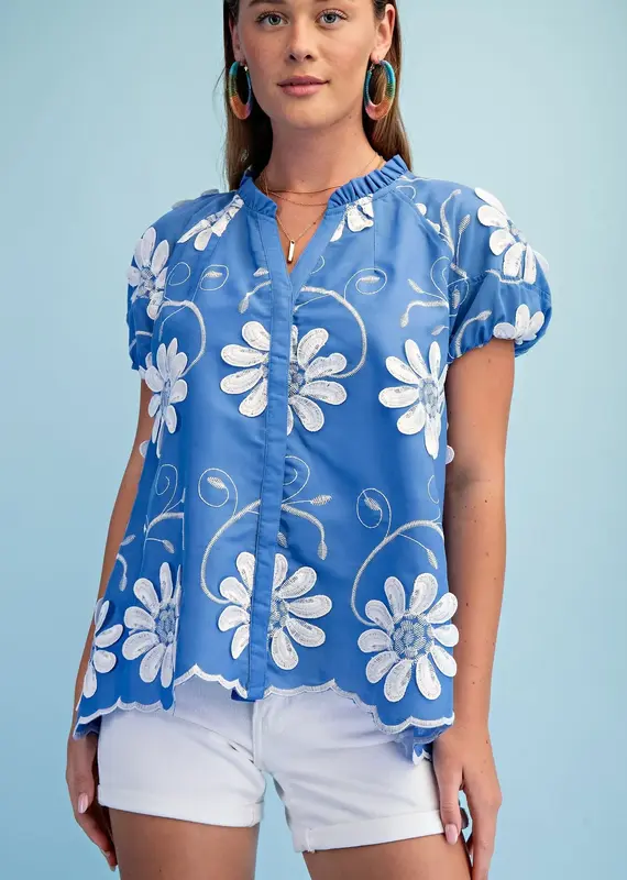 Floral Appliqué And Embroidered V-neck Top