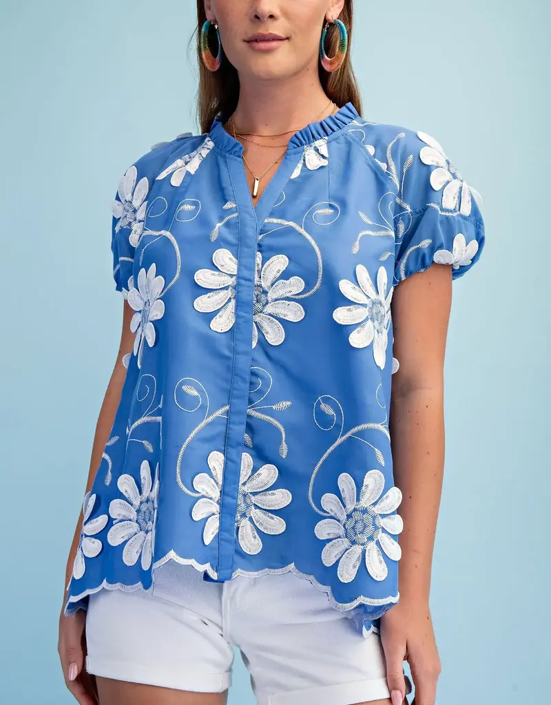 Floral Appliqué And Embroidered V-neck Top