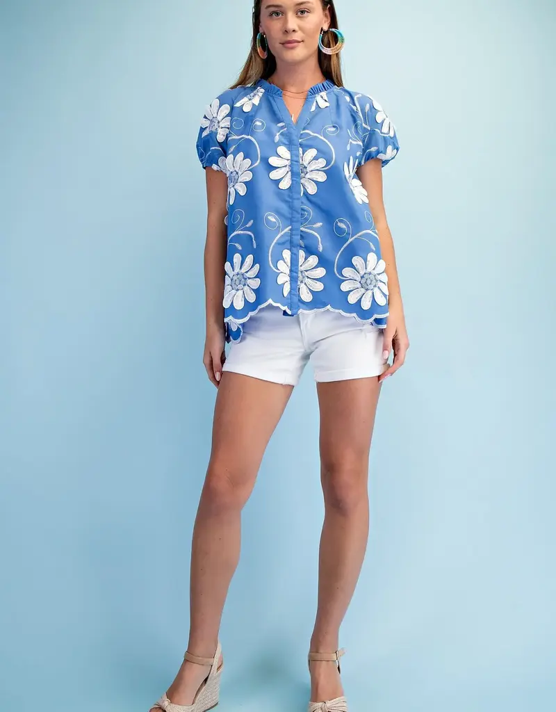 Floral Appliqué And Embroidered V-neck Top