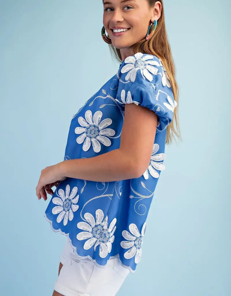 Floral Appliqué And Embroidered V-neck Top