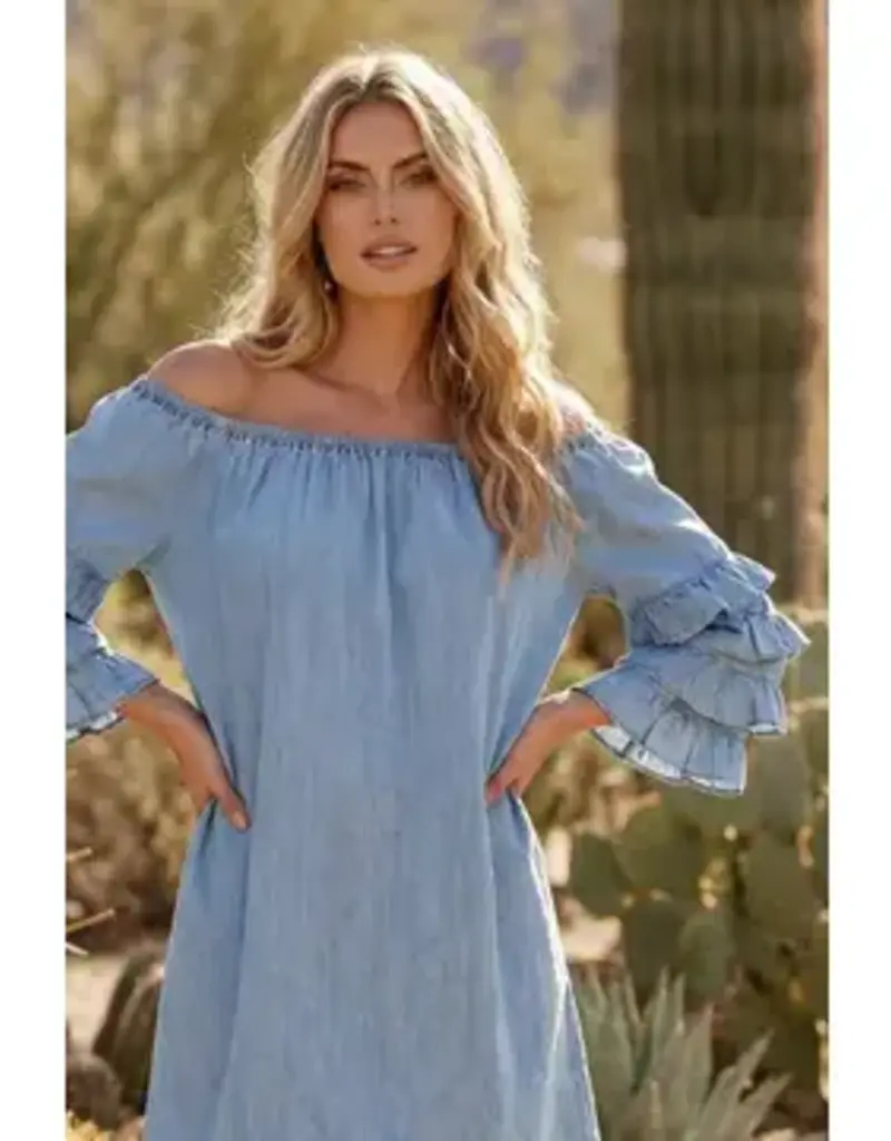 Tanya Tiered Sleeve Charming Denim Dress