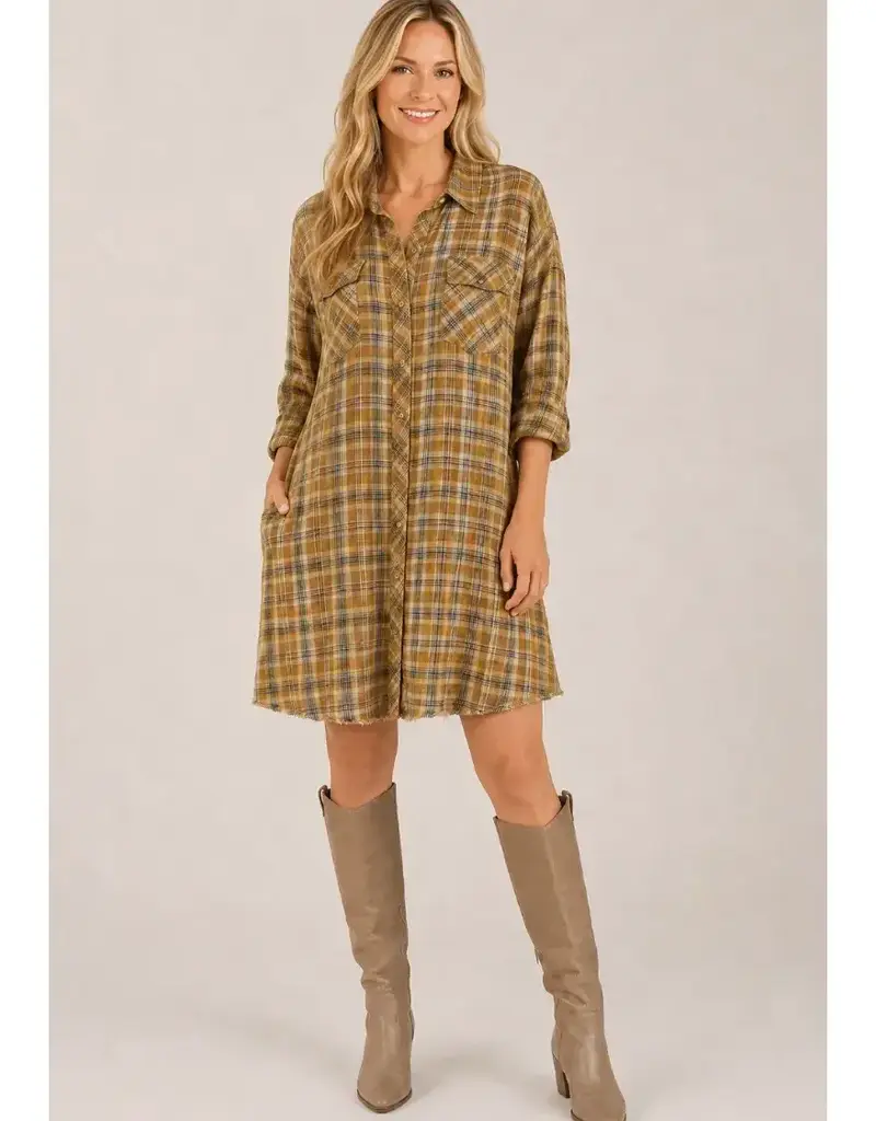 Wyona Washed Plaid Button Front Shirt Dress