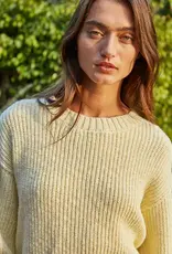 Candy Cotton Knit Sweater