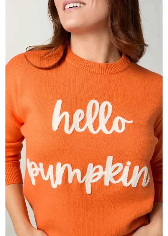 Hello Pumpkin Long Sleeve Sweater