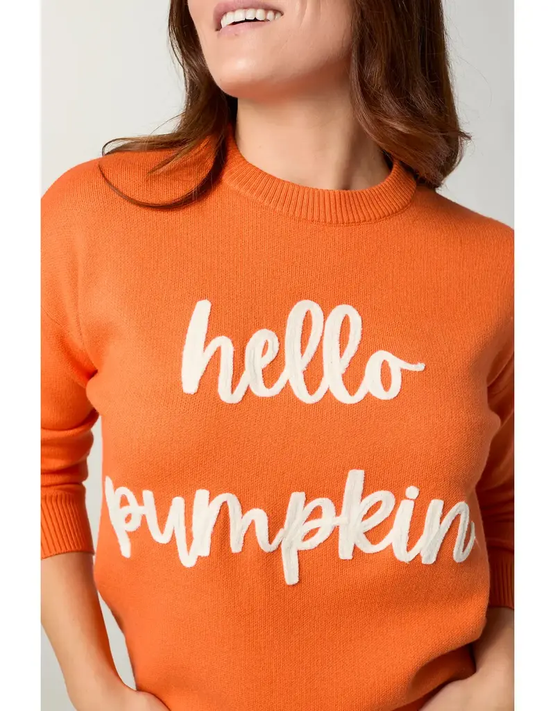 Hello Pumpkin Long Sleeve Sweater